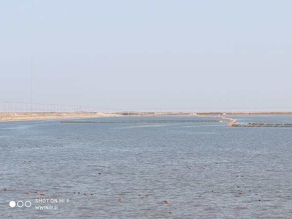 微信图片_20211025091320.jpg 微信图片_20211025091320.jpg